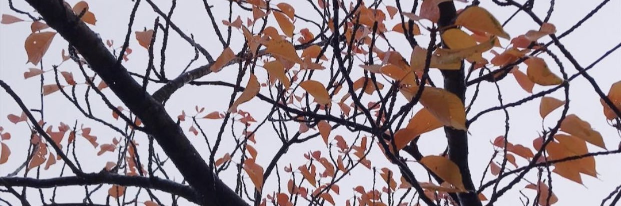 ItsFemm's profile banner image