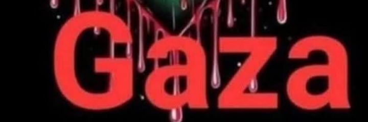 serpa235's profile banner image