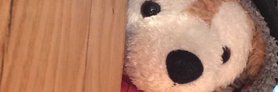 Homu_kami's profile banner image