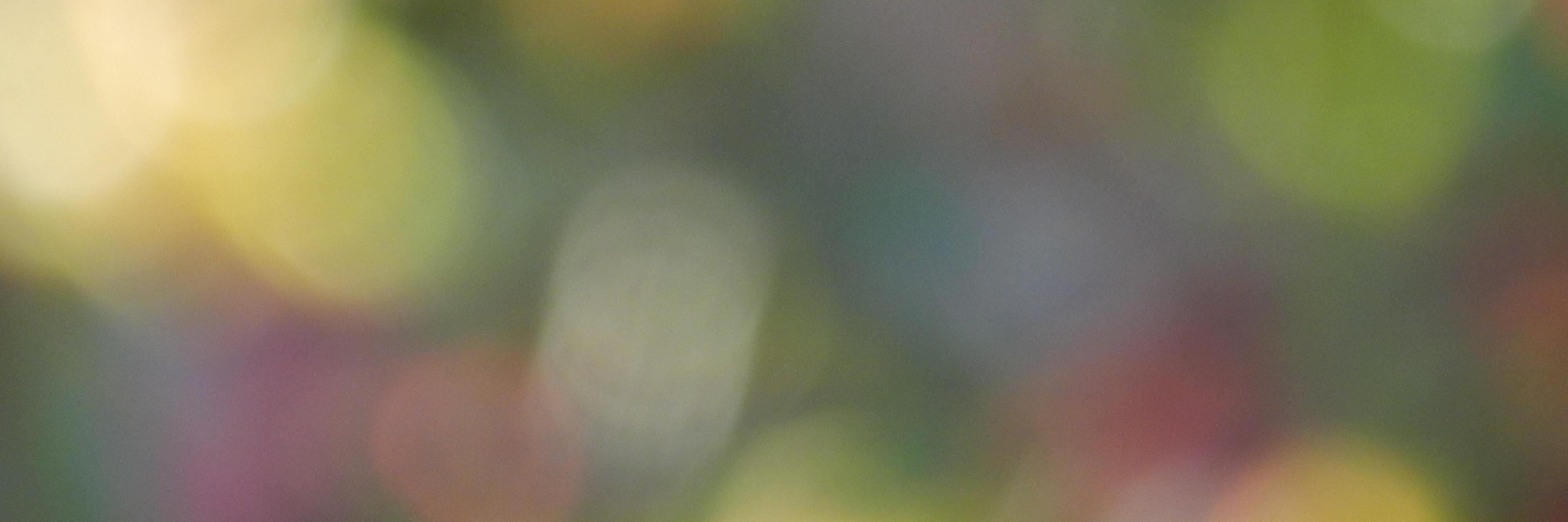 reramos7's profile banner image