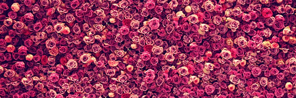 lebrittany's profile banner image