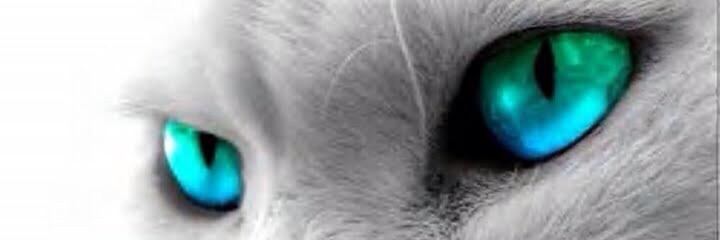 yumaHQ's profile banner image