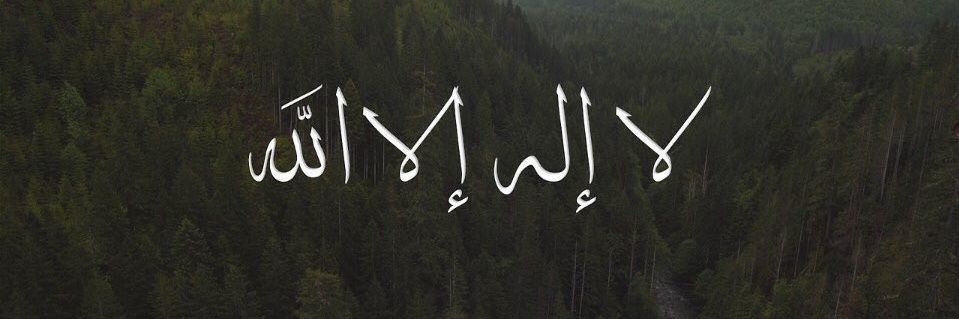 Umar Faruk Sani banner