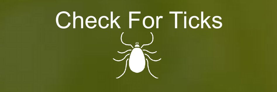 LymeAustralia's profile banner image