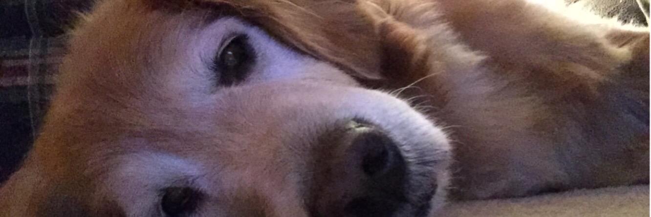 bmerner's profile banner image
