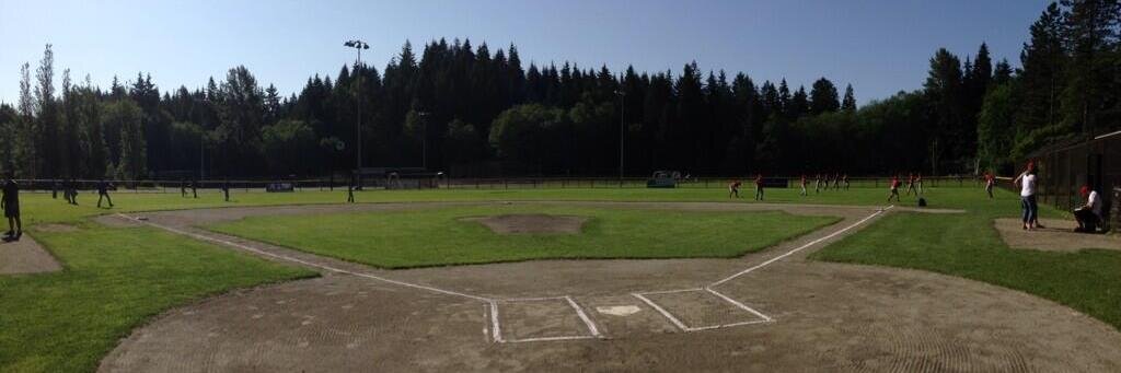 MSLL Baseball banner