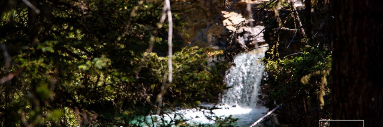 NicPMcC's profile banner image