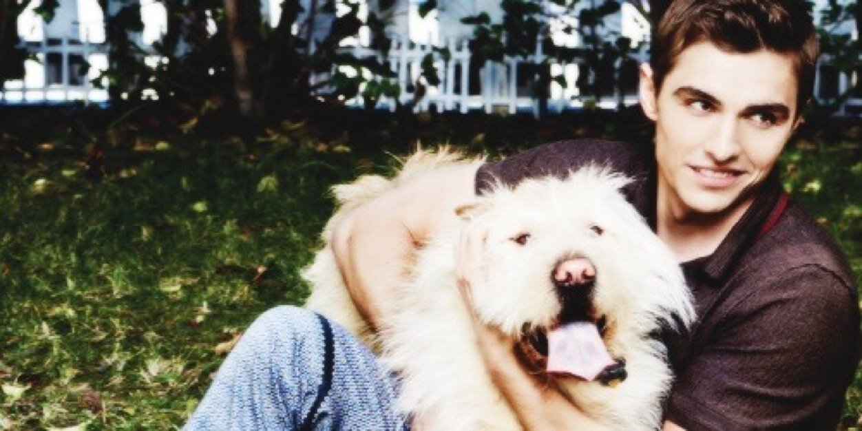 DcveFranco's profile banner image