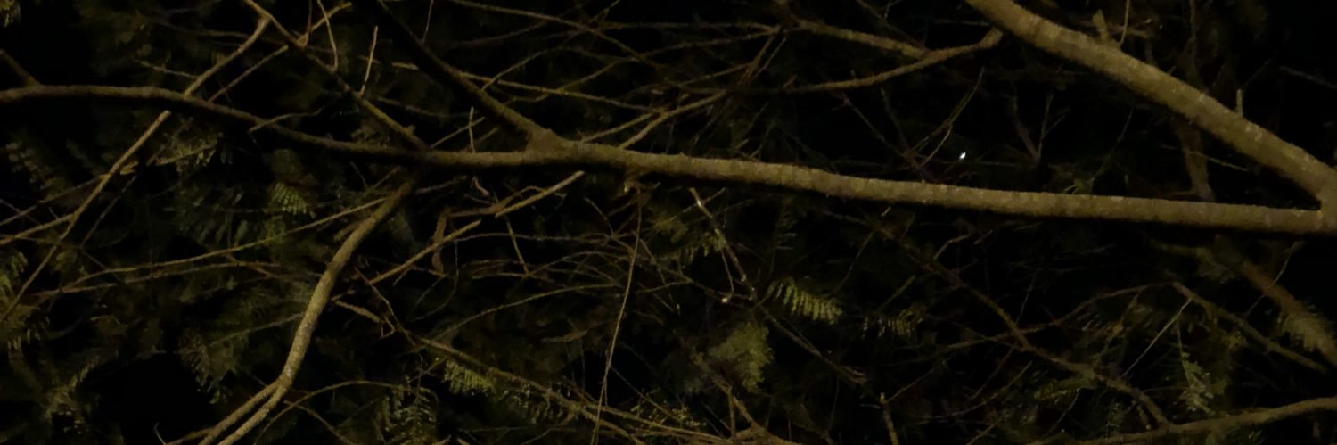 amarillaedu's profile banner image