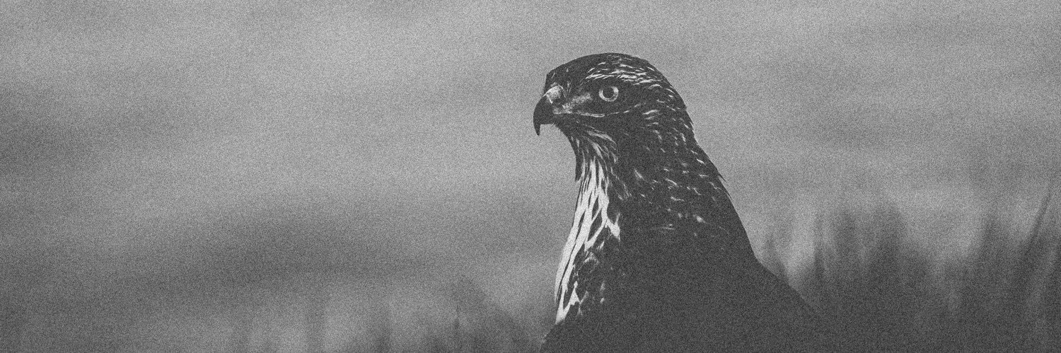 ___alue___'s profile banner image