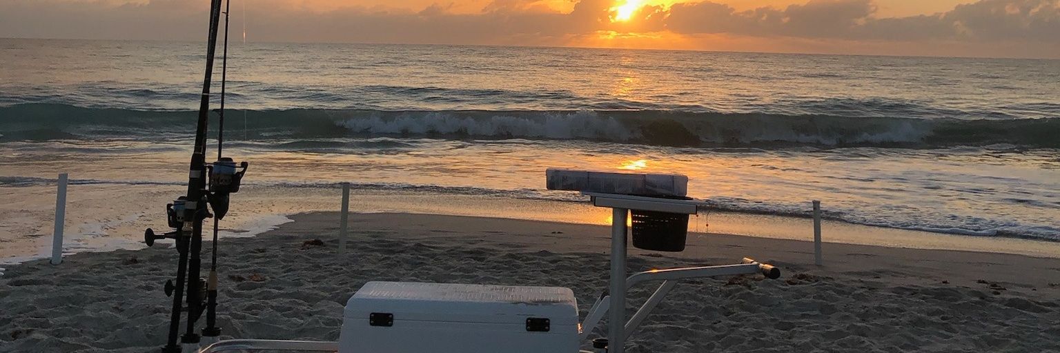 pingwin66's profile banner image