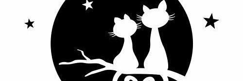 Anamiscelanea's profile banner image
