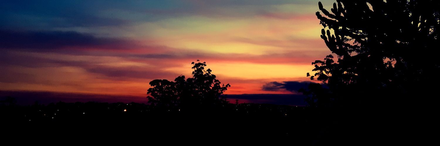 TarynFleming1's profile banner image