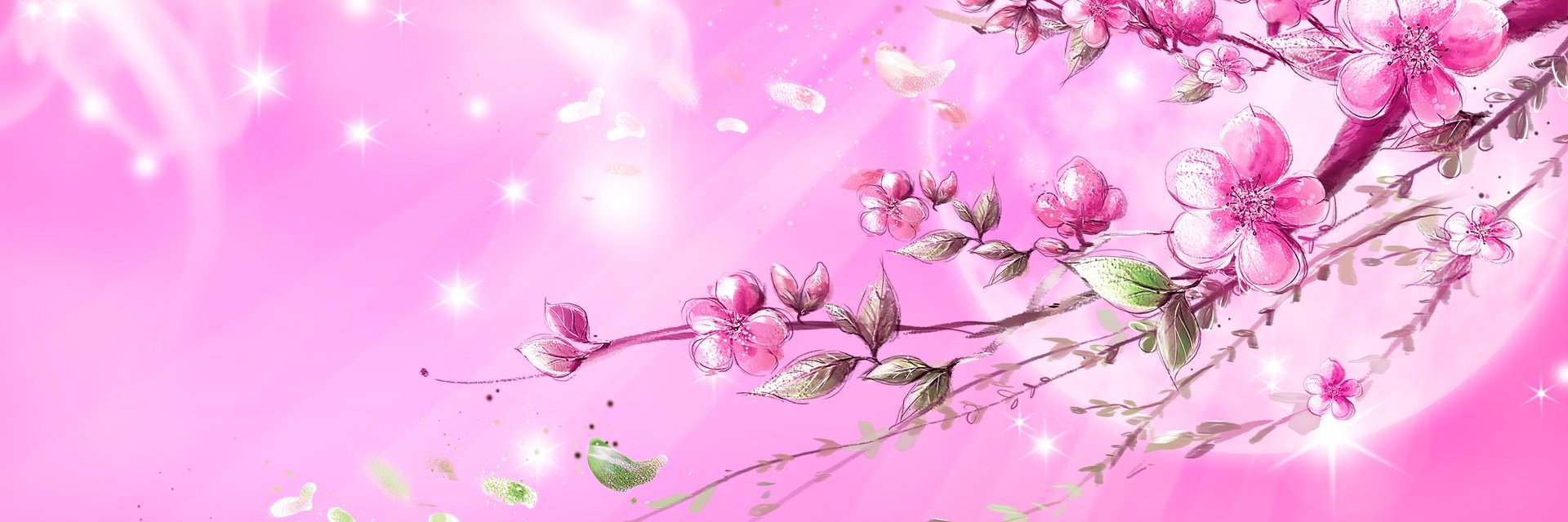 NawelDouaa's profile banner image