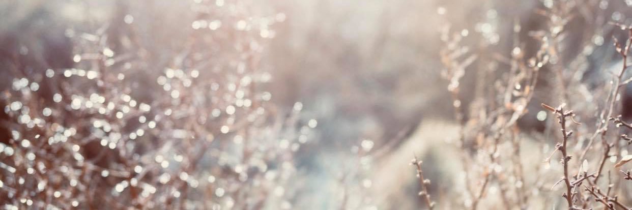 linzipearson151's profile banner image