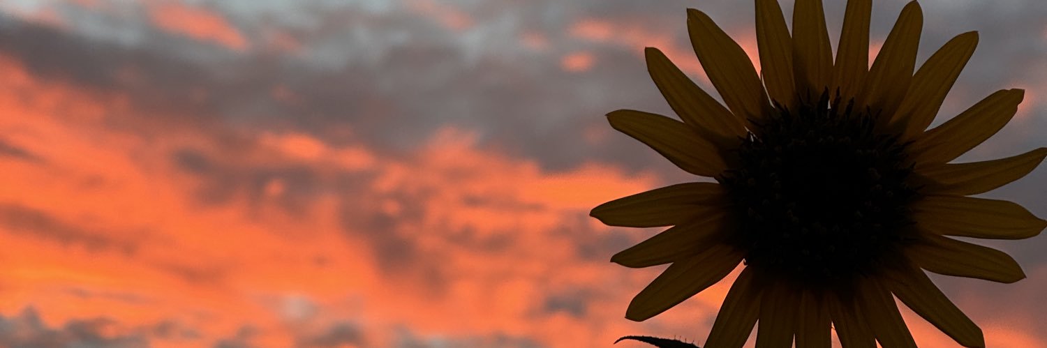 ryan² banner