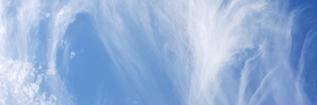 cannesjuan's profile banner image