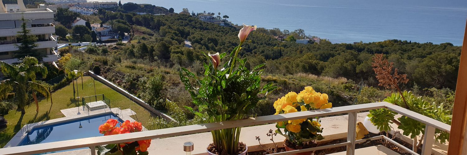 franquelo36's profile banner image