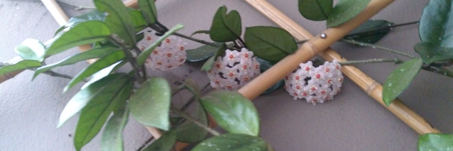 AngieTamie's profile banner image