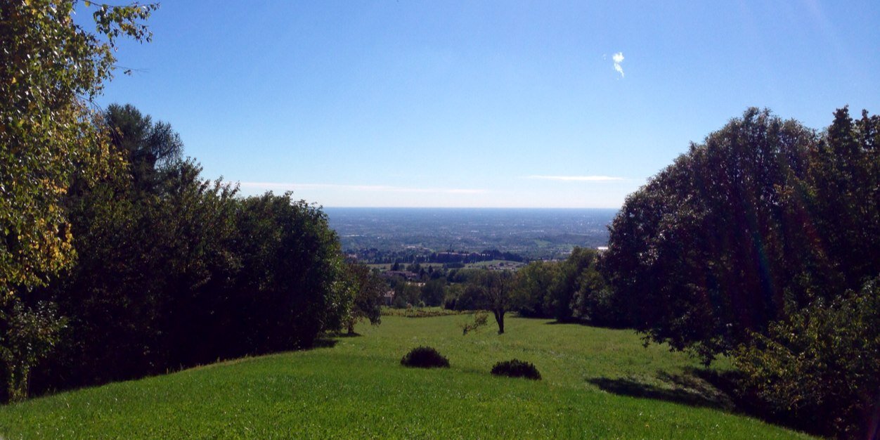 Cecilia Canazza banner