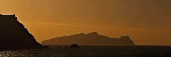 brianb1212 Profile Banner