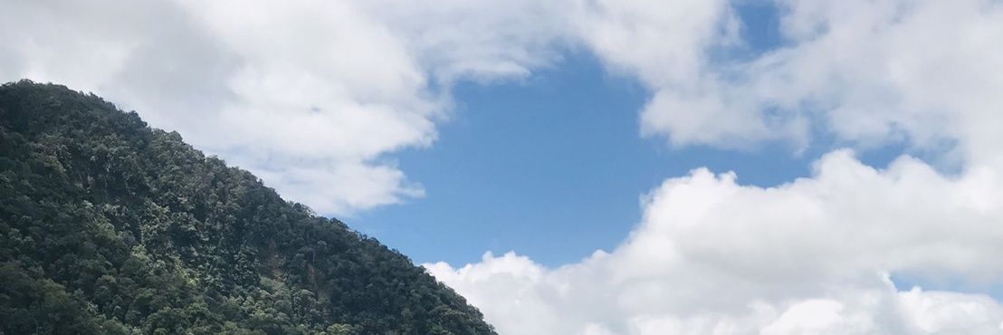 upicans's profile banner image