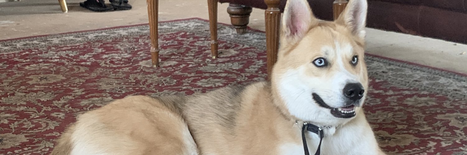 MickeyyyB_'s profile banner image