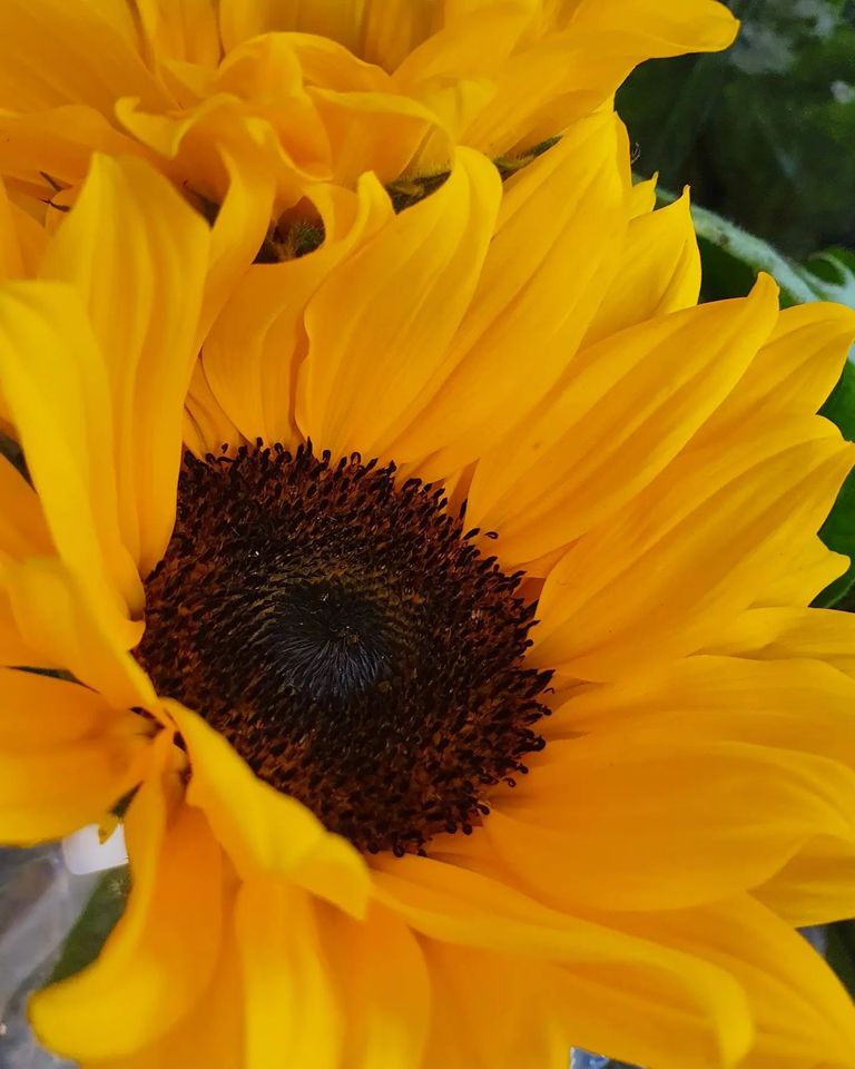 Ladyofthemess's profile banner image