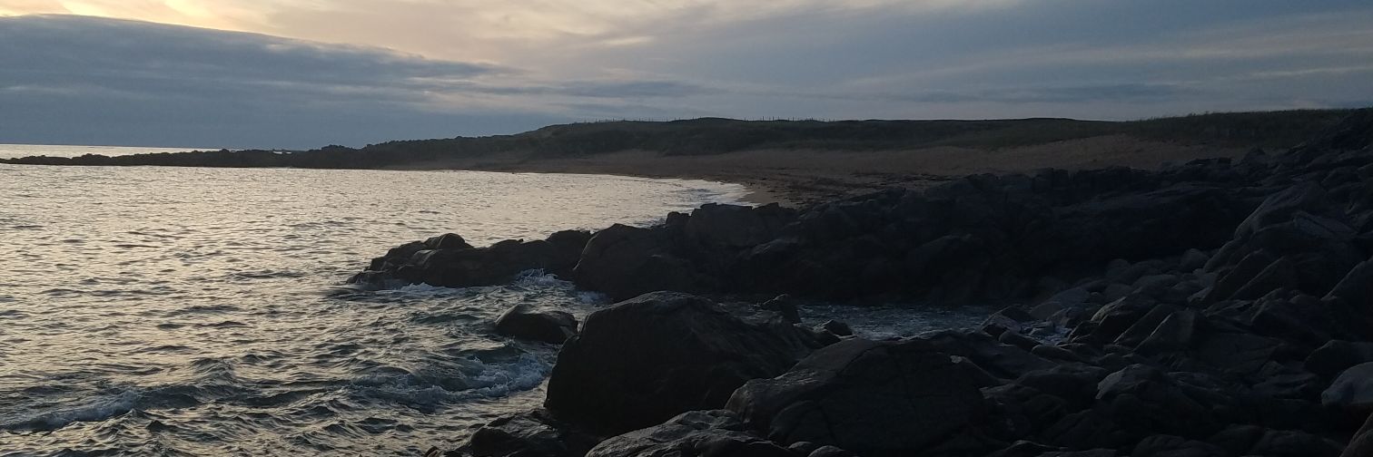 Symphilein's profile banner image
