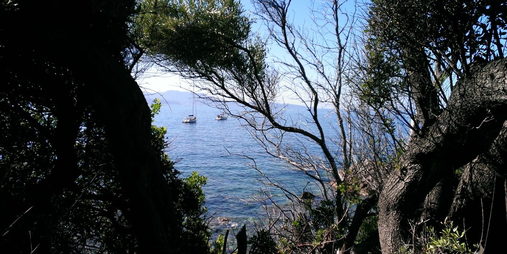 James LeBlanc banner