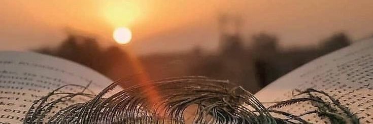 knk1576's profile banner image