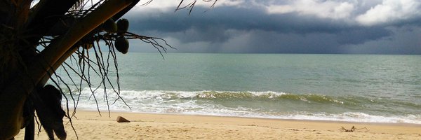 _leandro2 Profile Banner