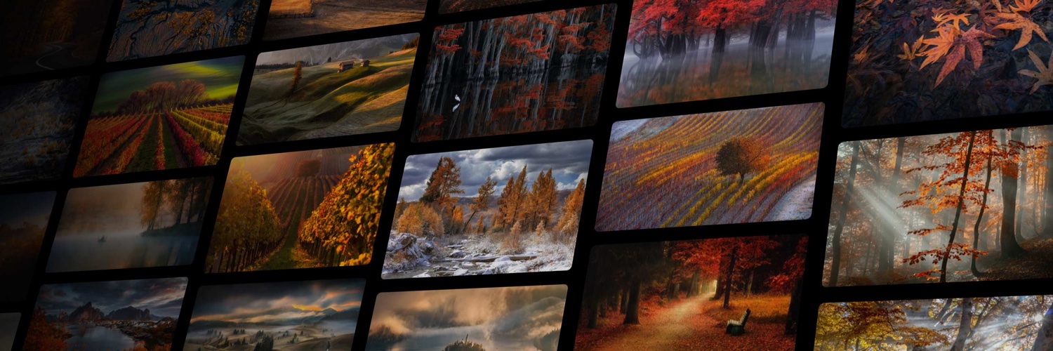 35PHOTO_main's profile banner image