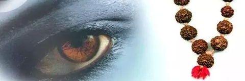 Rajan Chalana banner