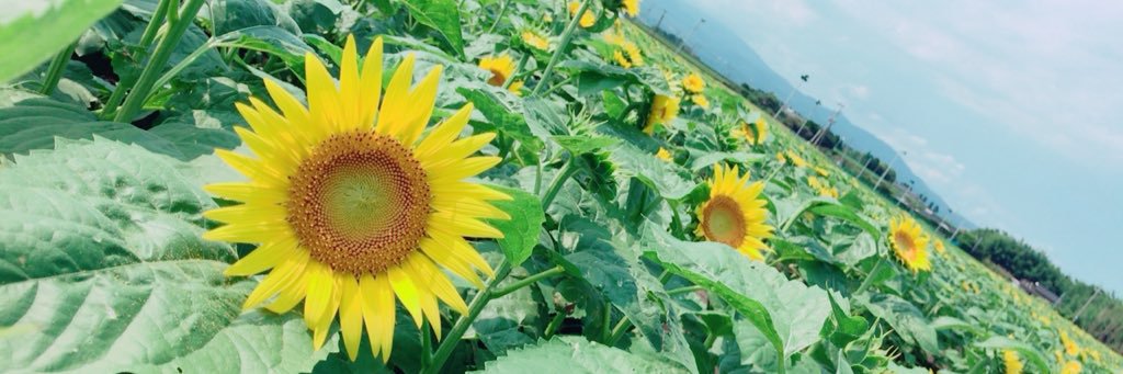 aaa00890916's profile banner image