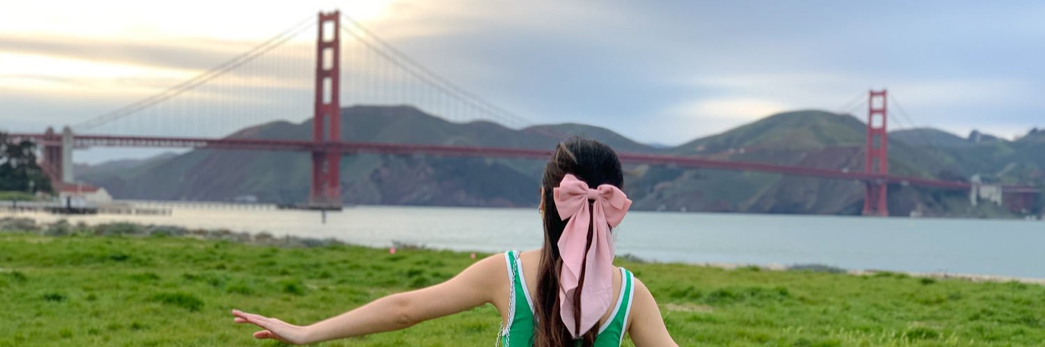 Pj banner