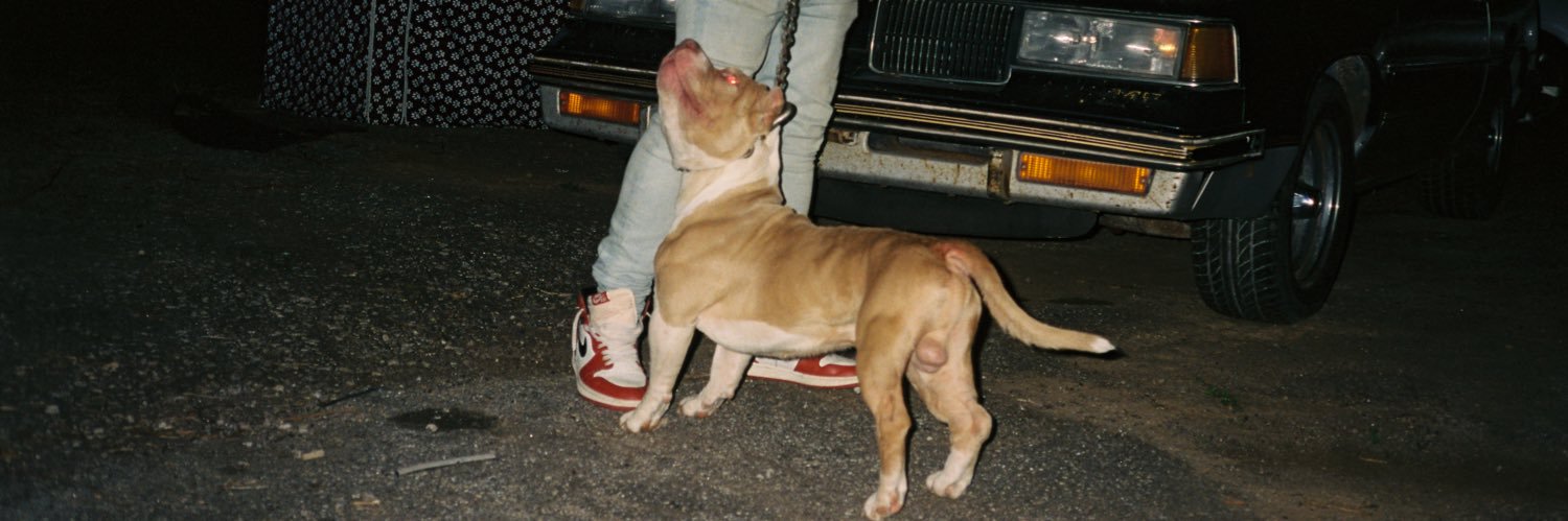 StinkDiesel's profile banner image