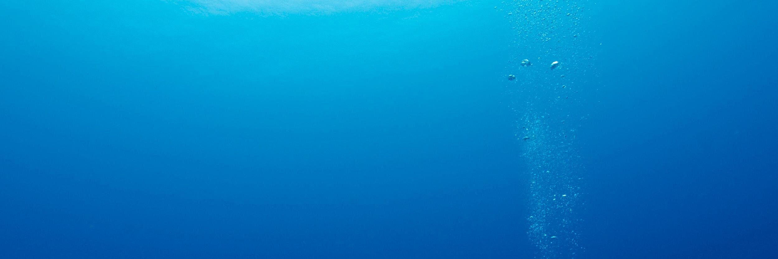 diveapp's profile banner image