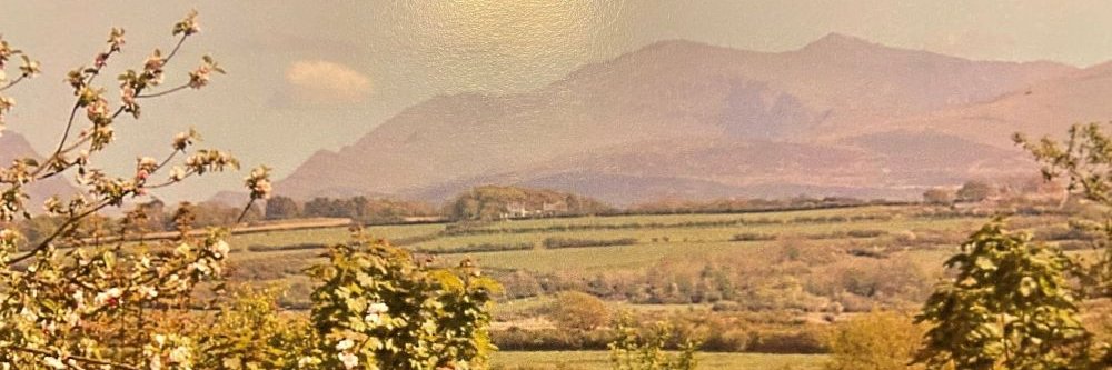 AnnieMBWilliams's profile banner image