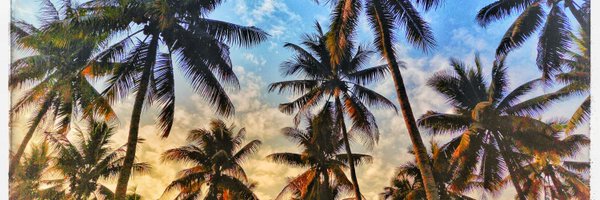 imransayid1 Profile Banner