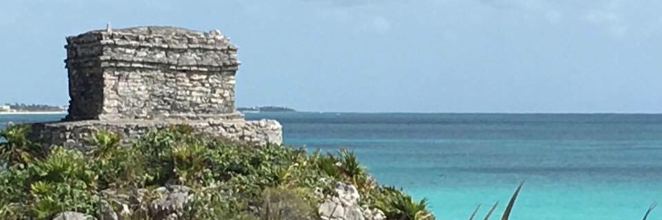 cancocampbell's profile banner image