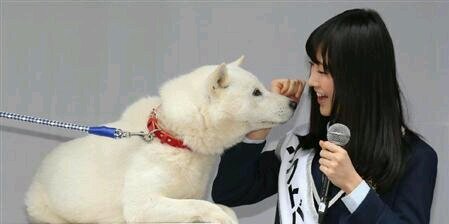 fuuko970224's profile banner image