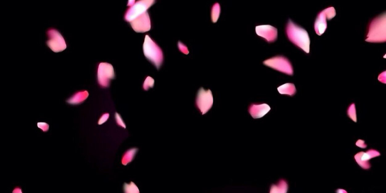 s__oua's profile banner image