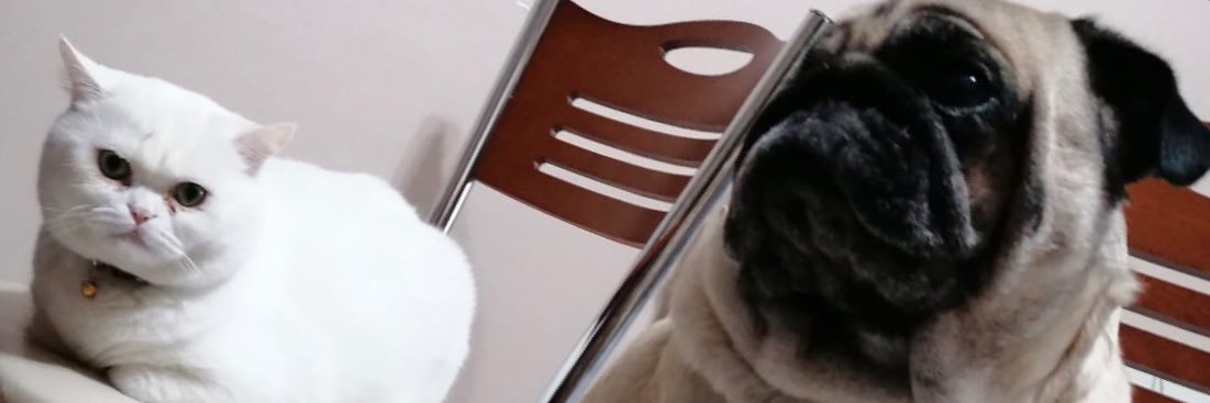 KcisemK's profile banner image