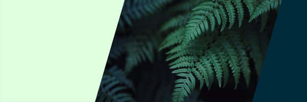 HootBusiness Profile Banner