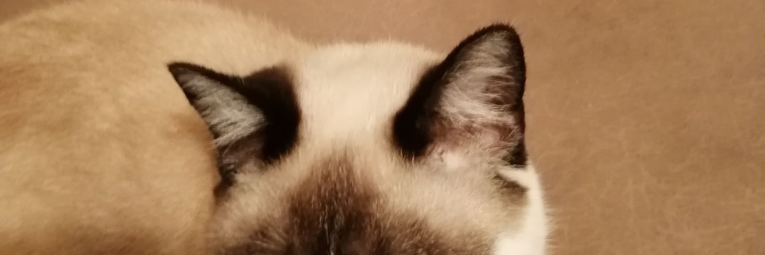 StilesStill_'s profile banner image