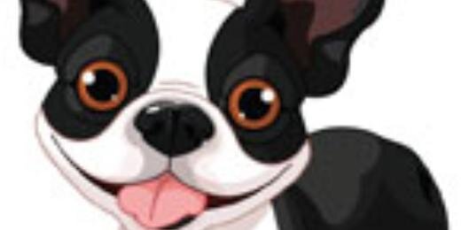 MuttsDogWalking's profile banner image