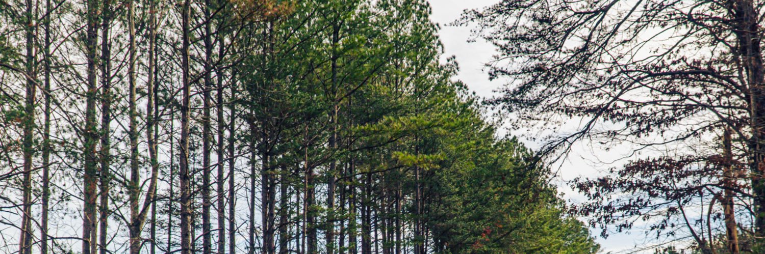 BacksonJell's profile banner image