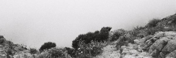 gianna Profile Banner