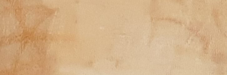 MoscardoMMaria's profile banner image